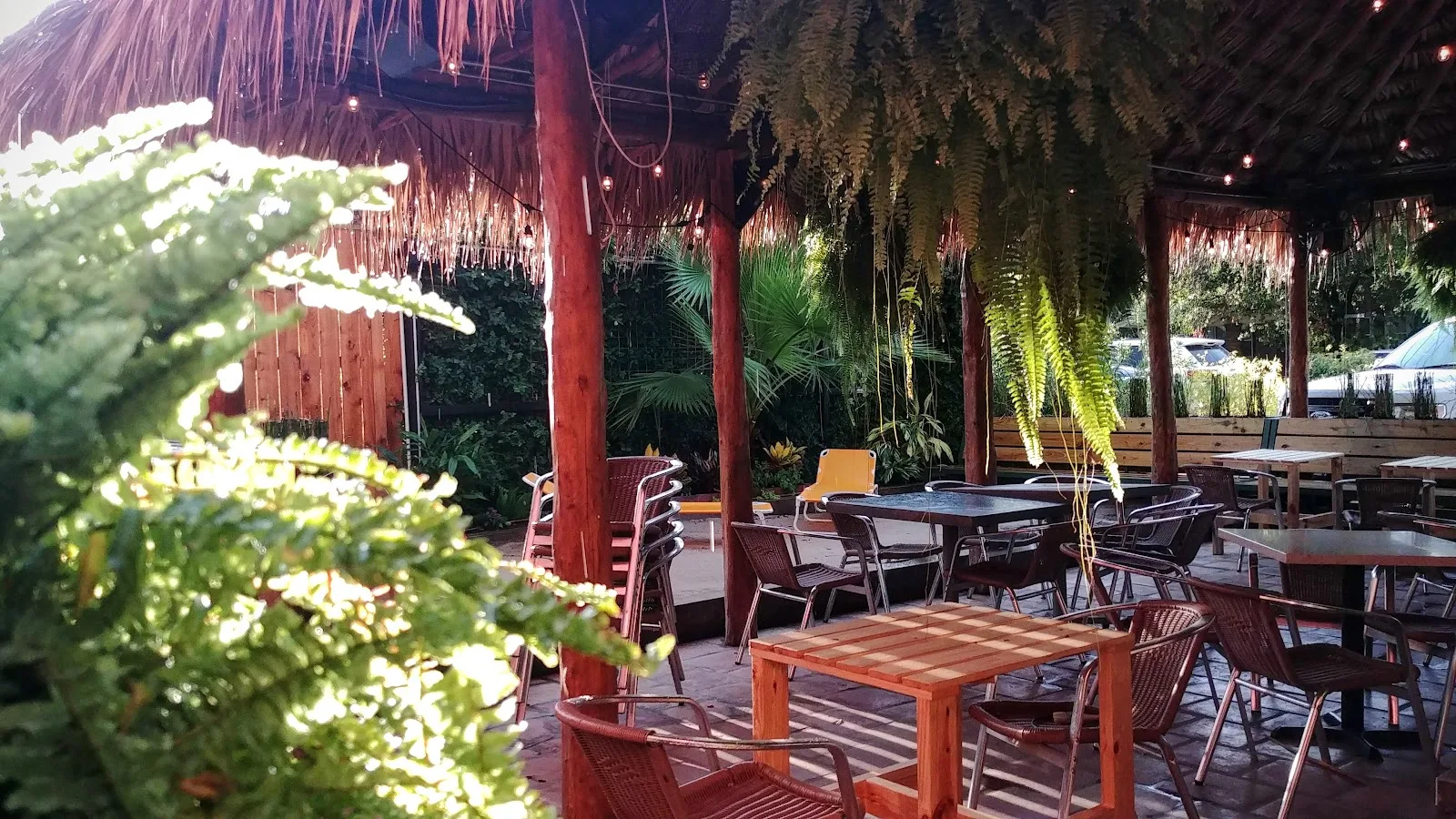 Tables and rattan chairs under the thatched palapa at the Toasted Coconut on Richmond