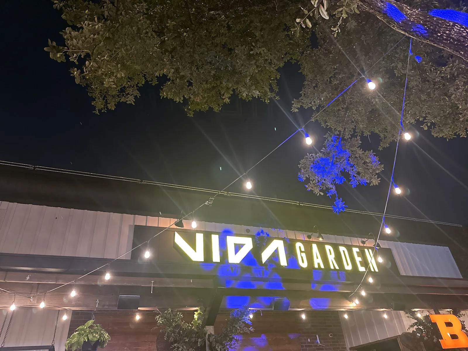 The lit Vida Garden sign under string lights and trees at night in Midtown Houston